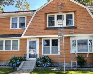 painters south county